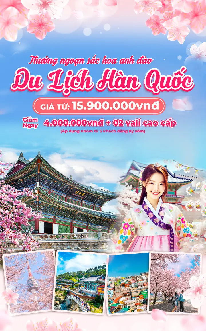 Du Lịch Hàn Quốc 2025