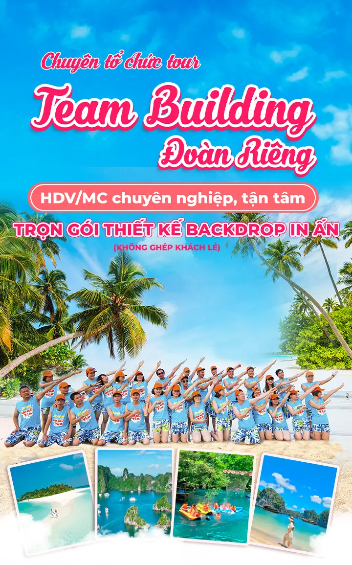 Tổ chức tour team building đoàn thể công ty