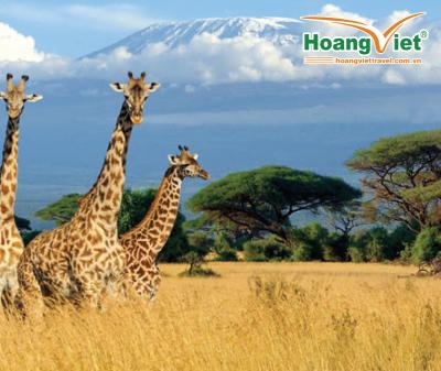 CHƯƠNG TRÌNH DU LỊCH ĐẶC BIỆT CHÀO ĐÓN NĂM MỚI TẠI  SINGAPORE - NAM PHI 