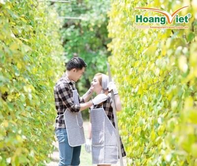 CHƯƠNG TRÌNH HÀ NỘI - ĐẢO NGỌC PHÚ QUỐC 4 NGÀY 3 ĐÊM BAY VIETNAM AIRLINES 