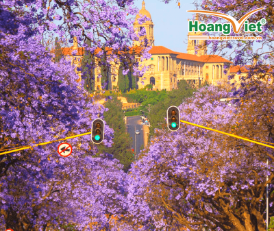 CHƯƠNG TRÌNH NAM PHI HẤP DẪN NHẤT 2024 LIÊN MINH NAM PHI MÙA PHƯỢNG TÍM & DU THUYỀN XEM CÁ VOI BAY SINGAPORE AIRLINES 