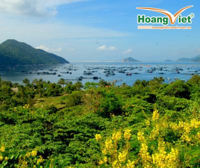 HÀ NỘI - QUY NHƠN – PHÚ YÊN XỨ SỞ HOA VÀNG CỎ XANH BAY VIETJET AIR