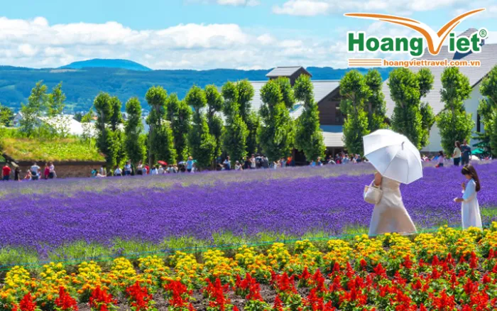TOUR DU LỊCH HOKKAIDO MÙA HÈ 6N5Đ TỪ HÀ NỘI Tour-du-lich-hokkaido-mua-he