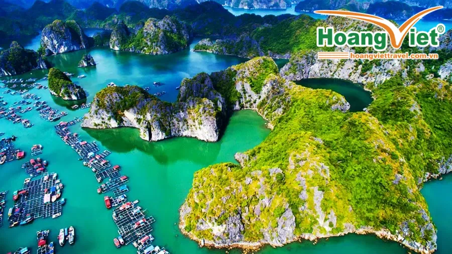 TOUR TEAM BUILDING ĐẢO CÁT BÀ – VỊNH LAN HẠ - KAYAKING 3N2Đ Team-Building-Cat-Ba-2025