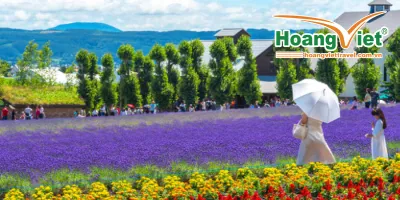 Tour-du-lich-hokkaido-mua-he