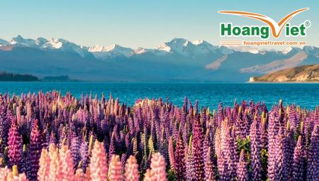 Du Lịch New Zealand: Khám Phá Bối Cảnh Avatar 3