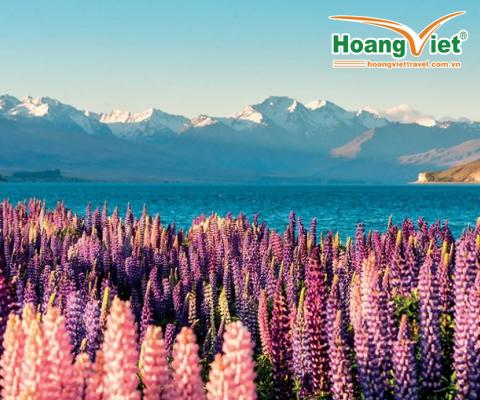 Du Lịch New Zealand: Khám Phá Bối Cảnh Avatar 3