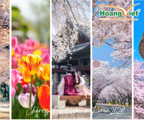 CHÀO NĂM MỚI 2026 TẠI XỨ SỞ KIM CHI - SEOUL - LOTTE WORLD - TRƯỢT TUYẾT ELYSIAN- HÁI DÂU- THÁP NAM SAN