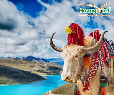 CHƯƠNG TRÌNH DU LỊCH TRUNG QUỐC: HÀ NỘI - CÁT BI - LỆ GIANG ĐẠI LÝ - SHANGRILA BAY LUCKY AIRLINES 