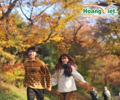 CHƯƠNG TRÌNH MÙA THU HÀN QUỐC HÀ NỘI-SEOUL-NAMI–EVERLAND- THƯ VIỆN SÁCH -HÁI TÁO BAY VIETNAM AIRLINES 