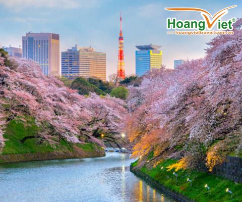 CHƯƠNG TRÌNH NHẬT BẢN MÙA HOA ANH ĐÀO NAGOYA–NARA– OSAKA- KYOTO – NÚI PHÚ SĨ – TOKYO BAY VIETNAM AIRLINES 