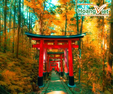 CUNG ĐƯỜNG VÀNG NHẬT BẢN 2024 TƯNG BỪNG NGHỈ LỄ 2/9 TOKYO – PHÚ SĨ – KYOTO - OSAKA, VIETNAM AIRLINES, 6 NGÀY 5 ĐÊM  