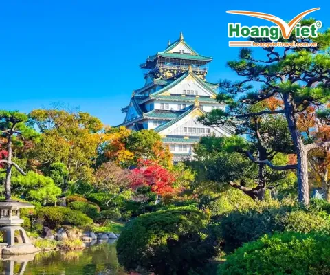 CUNG ĐƯỜNG VÀNG NHẬT BẢN - MÙA HÈ RỰC RỠ SẮC HOA NO SHOPPING BAY VIETNAM AIRLINES