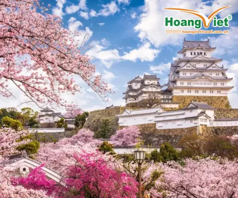 CUNG ĐƯỜNG VÀNG NHẬT BẢN -  RỰC RỠ SẮC HOA KOBE – OSAKA – KYOTO – NAGOYA – PHÚ SĨ – TOKYO NO SHOPPING  BAY VIETNAM AIRLINES