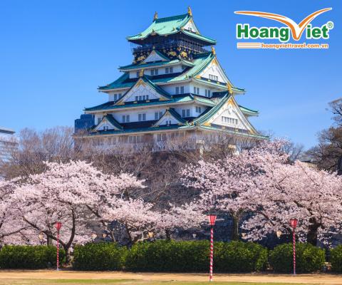 CUNG ĐƯỜNG VÀNG NHẬT BẢN -  RỰC RỠ SẮC HOA NO SHOPPING BAY VIETNAM AIRLINES