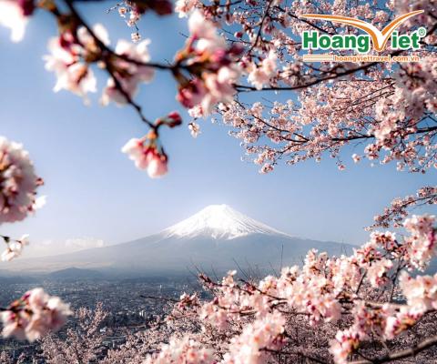 ĐÓN NĂM MỚI TẠI HOKKAIDO NHẬT BẢN 2026 HÀ NỘI – HOKKAIDO – LỄ HỘI BĂNG TUYẾT TẠI CHITOSE –TRƯỢT TUYẾT- VƯỜN THÚ ASAHIKAWA- HỒ BLUE- BẢO TÀNG BIA- TOKYO- NGẮM HOA ANH ĐÀO SỚM BAY ALL NIPPON AIRWAYS