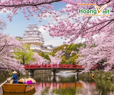 DU LỊCH NHẬT BẢN MÙA HOA ANH ĐÀO 2025 OSAKA – KOBE – KYOTO – NAGOYA – NÚI PHÚ SĨ – TOKYO BAY VIETJET AIR 