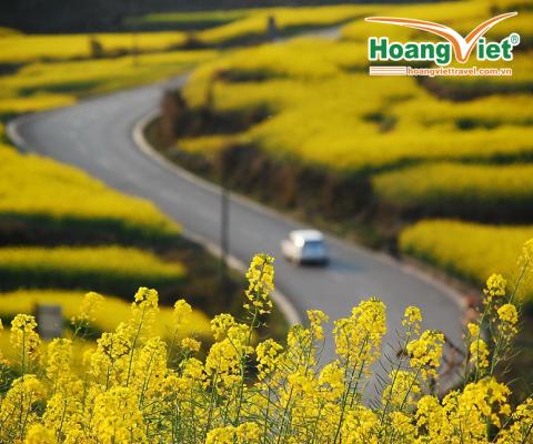 “DU XUÂN VÂN NAM – ĐÓN MÙA HOA RỰC RỠ” HÀ NỘI – HÀ KHẨU –  LÔ TÂY – LA BÌNH – CÔN MINH – KIẾN THỦY –  NOSHOP