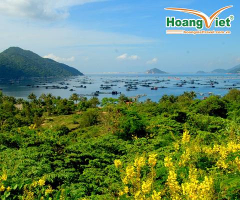 HÀ NỘI - QUY NHƠN – PHÚ YÊN XỨ SỞ HOA VÀNG CỎ XANH BAY VIETJET AIR