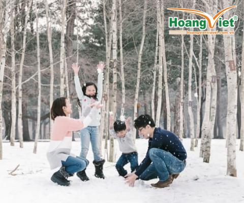 HÀ NỘI - SEOUL-NAMI- LOTTE WORLD-TRƯỢT TUYẾT – HÁI DÂU- THƯ VIỆN SÁCH BAY VIETNAM AIRLINES 