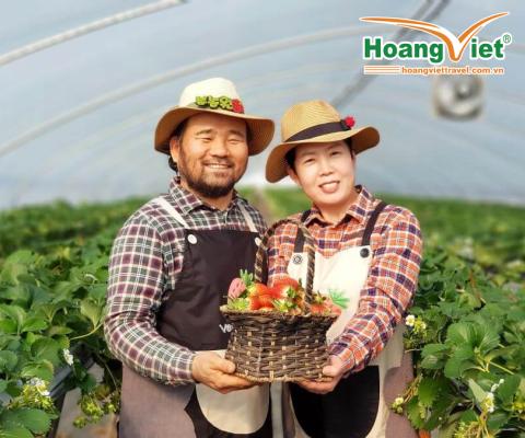 HÀ NỘI - SEOUL-NAMI- LOTTE WORLD-TRƯỢT TUYẾT – HÁI DÂU- THƯ VIỆN SÁCH BAY VIETNAM AIRLINES