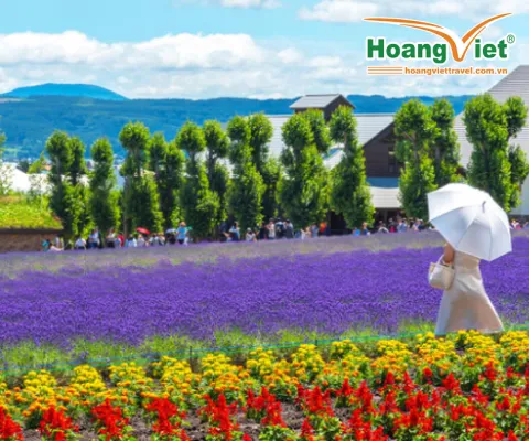 TOUR DU LỊCH HOKKAIDO MÙA HÈ 6N5Đ TỪ HÀ NỘI