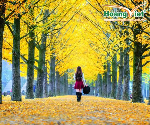 KHAM PHÁ MUA THU HAN QUỐC: HÀ NỘI – BUSAN – SEOUL – ĐẢO NAMI – INCHEON- ĐI PHÀ CHO HẢI ÂU ĂN TRẢI NGHIỆM TÀU CAO TỐC KTX TUYẾN BUSAN - SEOUL BAY VIETJET AIR 