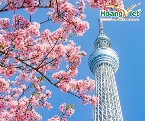 KHÁM PHÁ MÙA THU NHẬT BẢN 2023 BAY VIETJET AIR