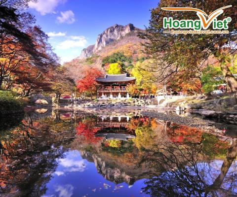Khám phá mùa thu vàng “xứ sở Kim chi” Hàn Quốc: HÀ NỘI - SEOUL-NAMI- EVERLAND-HÁI LÊ/TÁO Bay VIETJET AIR