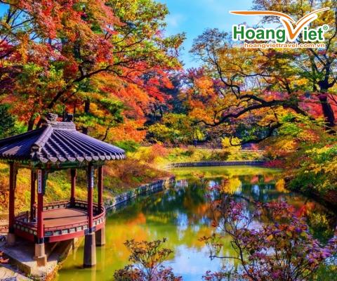 Khám phá mùa thu vàng “xứ sở Kim chi” Hàn Quốc: HÀ NỘI - SEOUL - NAMI – EVERLAND - RỪNG SEOUL - HÁI TÁO BAY VIETNAM AIRLINES 