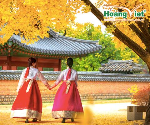 KHÁM PHÁ MÙA THU VÀNG “XỨ SỞ KIM CHI” HÀN QUỐC: HÀ NỘI - SEOUL – NAMI – EVERLAND - RỪNG SEOUL - HÁI TÁO BAY VIETNAM AIRLINES 
