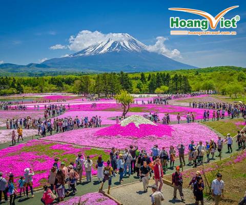 KHÁM PHÁ NHẬT BẢN DỊP LỄ 30/04/2026 HÀ NỘI- OSAKA –KOBE–NAGOYA- KYOTO – NÚI PHÚ SĨ – LỄ HỘI HOA CHI ANH- TOKYO BAY VIETJET AIR