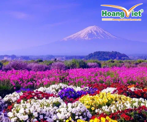 KHÁM PHÁ NHẬT BẢN MÙA HÈ:  HÀ NỘI- OSAKA – KOBE – KYOTO – NAGOYA – NÚI PHÚ SĨ – TOKYOBAY VIETNAM AIRLINES 