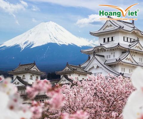 KHÁM PHÁ NHẬT BẢN MÙA HOA ANH ĐÀO 2026 HÀ NỘI – TOKYO – NÚI PHÚ SĨ – NAGOYA – KYOTO – OSAKA – NGẮM HOA ANH ĐÀO – HÀ NỘI BAY VIETNAM AIRLINES
