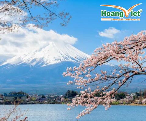 KHÁM PHÁ NHẬT BẢN MÙA HOA ANH ĐÀO 2026 HÀ NỘI – TOKYO – NÚI PHÚ SĨ – NAGOYA – OSAKA – NGẮM HOA ANH ĐÀO BAY VIETNAM AIRLINES