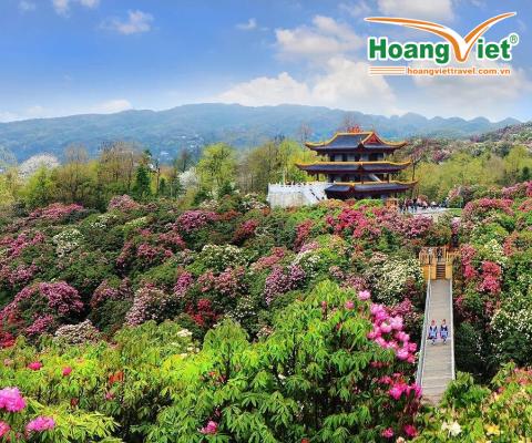 KHÁM PHÁ QUÝ DƯƠNG – THIÊN HỘ MIÊU TRẠI BÁCH LÝ ĐỖ QUYÊN BAY COLORFUL GUIZHOU AIRLINES 