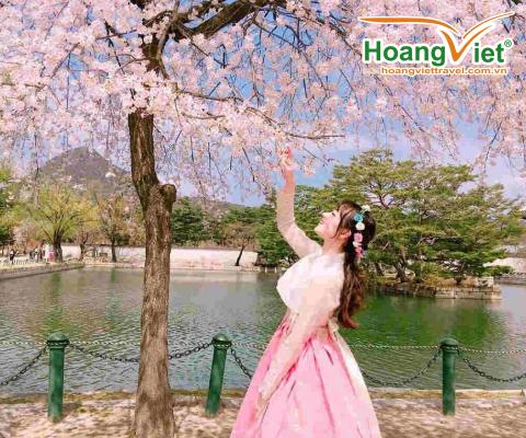 KHÁM PHÁ XỨ SỞ KIM CHI MÙA HOA ANH ĐÀO SEOUL- NAMI - EVERLAND – CÔNG VIÊN YEOUIDO - RỪNG SEOUL BAY VIETNAM AIRLINES ( TỐI - TỐI )