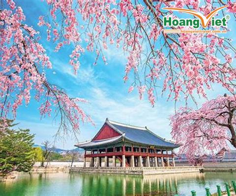 KHÁM PHÁ XỨ SỬ KIM CHI HÀN QUỐC DỊP LỄ 30/4 BAY JEJU AIR