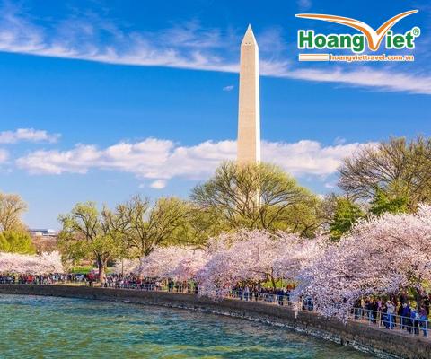 LIÊN TUYẾN ĐÔNG TÂY HOA KỲ  MÙA HOA ANH ĐÀO 2026 TẶNG VÉ VÀO CỬA PHIM TRƯỜNG UNIVERSAL STUSIO VÀ ĐẠI VỰC GRAND CANYON BAY CI/BR 5 SAO 