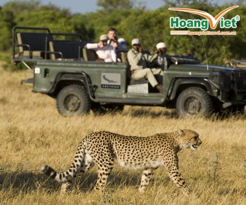 MỘT QUỐC GIA, HAI THẾ GIỚI HOANG DÃ TRỌN BỘ SAFARI TRONG MỘT ĐIỂM ĐẾN! CHƯƠNG TRÌNH NAM PHI  HẤP DẪN NHẤT 2026 BAY SINGAPORE AIRLINES