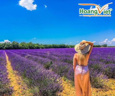 SẮC TÍM LAVENDER & KHÁM PHÁ  ĐIỂM CỰC TÂY CỦA CHÂU ÂU  HÀ NỘI - BỒ ĐÀO NHA - TÂY BAN NHA CÔNG QUỐC MONACO - MIỀN NAM NƯỚC PHÁP BAY QATAR AIRWAYS 5 SAO 