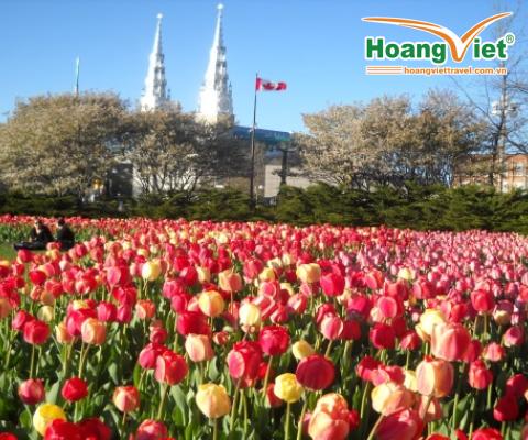 TOUR DU LỊCH CANADA: VANCOUVER  - ĐẢO VICTORIA – VƯỜN HOA BUTCHART – CẦU TREO KAPIOLANI – MONTREAL – QUEBEC CITY – OTTAWA  NGÀN ĐẢO – TONRONTO – THÁC NƯỚC NIAGARA 11N10Đ