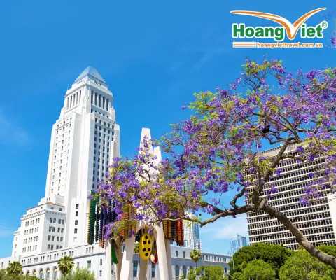TOUR PHƯỢNG TÍM SỚM NỞ RỰC TRỜI CALI BAY EVA AIR 5 SAO 
