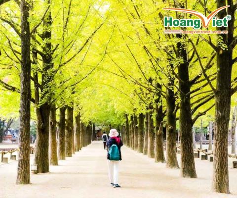 VI VU MÙA HÈ XỨ SỞ KIM CHI HÀN QUỐC: HÀ NỘI – SEOUL – NAMI – EVERLAND – PAINTER SHOW – THƯ VIỆN SÁCH BAY VIETNAM AIRLINES BAY TỐI - SÁNG