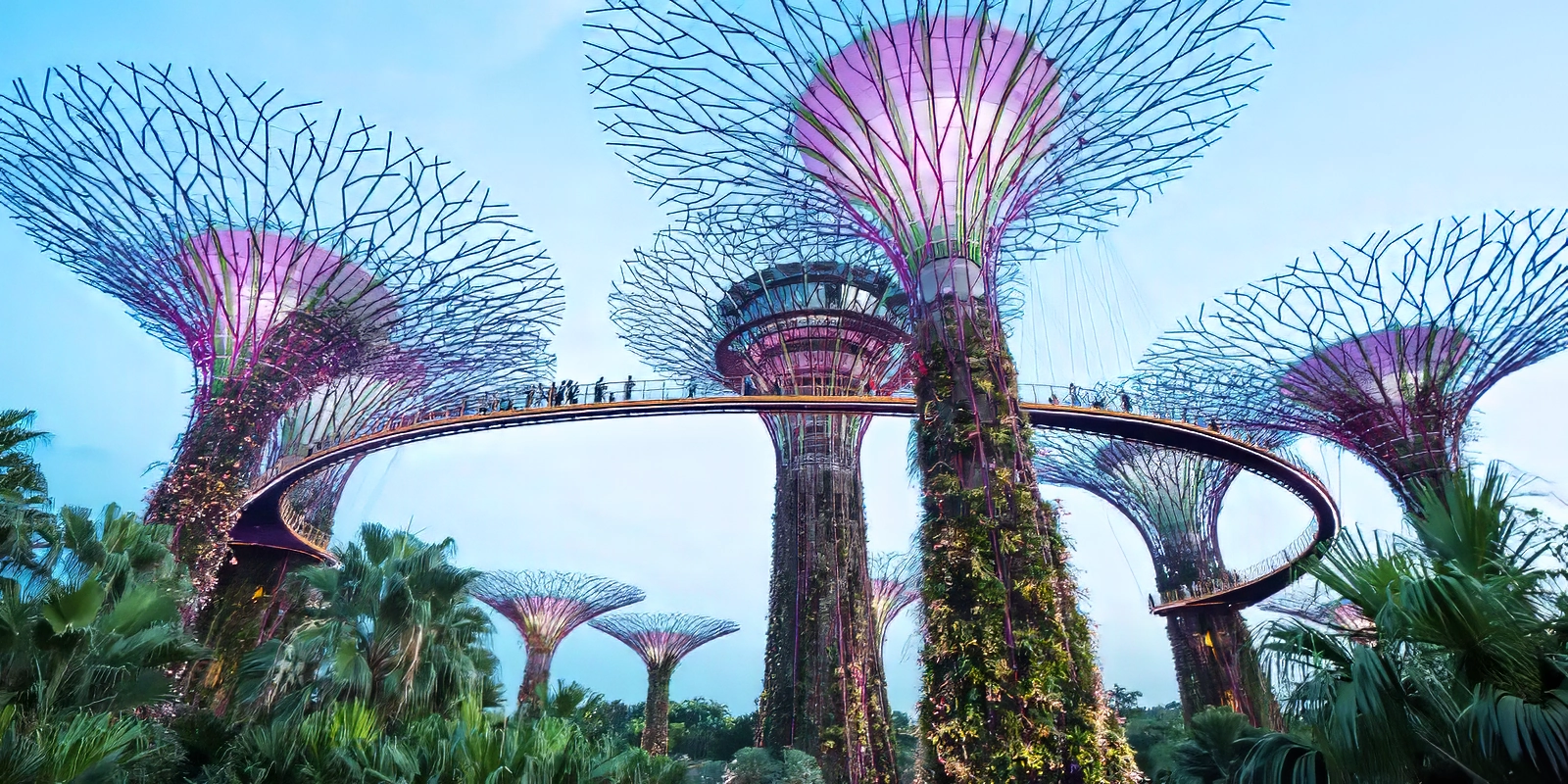 Futuristic tall structures resembling trees, with a walkway connecting them, set against a clear sky. Lush greenery surrounds the scene, evoking wonder.