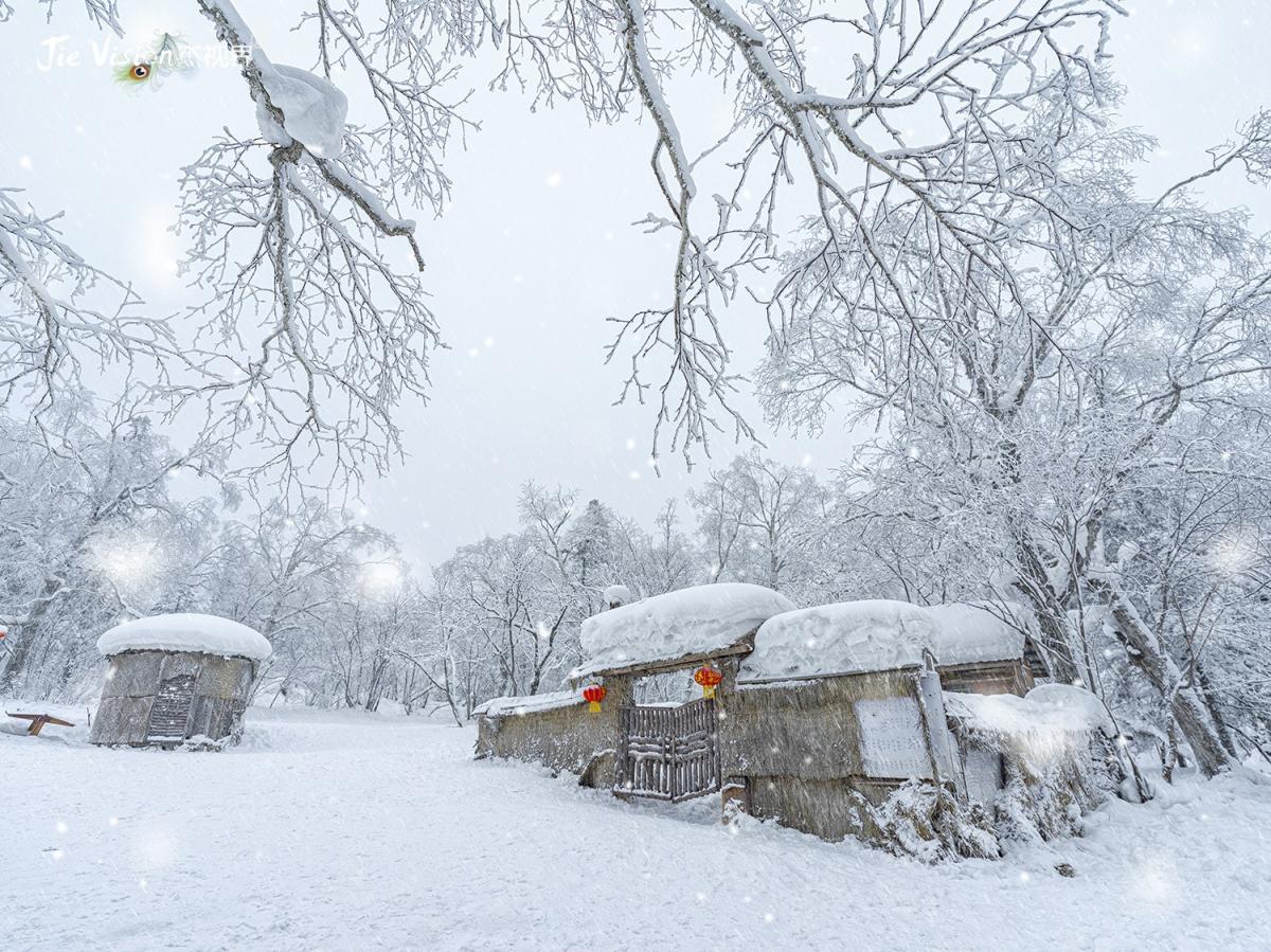 雪乡十里画廊徒步遇险“雪窝子” 但冰雪梦幻景色实在让人痴迷！_手机搜狐网