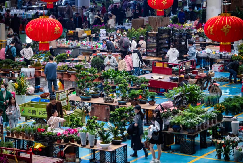 Chợ hoa Đầu Nam Côn Minh - Chợ hoa tươi lớn nhất châu Á