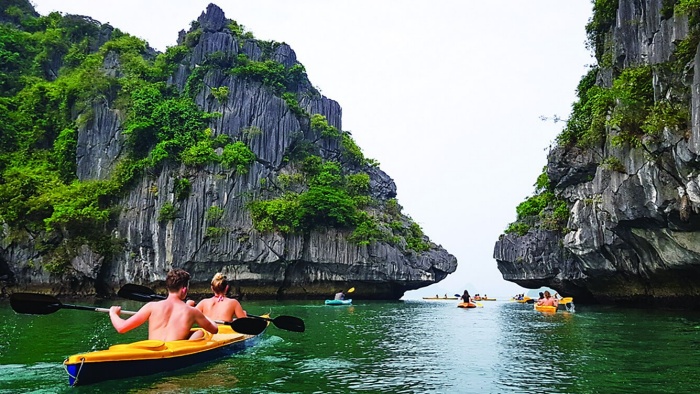 Vịnh Lan Hạ Cát Bà - Review “đảo ngọc thiên đường” ở Hải Phòng