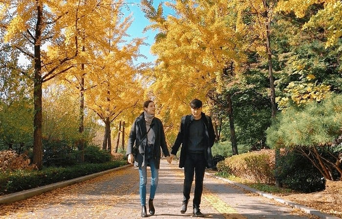du lịch hàn quốc mùa thu - hoàng việt travel