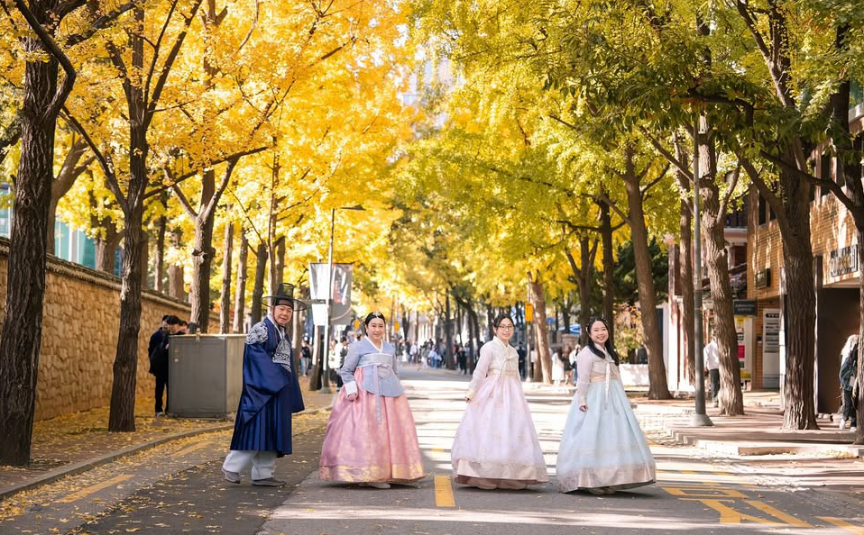 du lịch hàn quốc mùa thu - hoàng việt travel